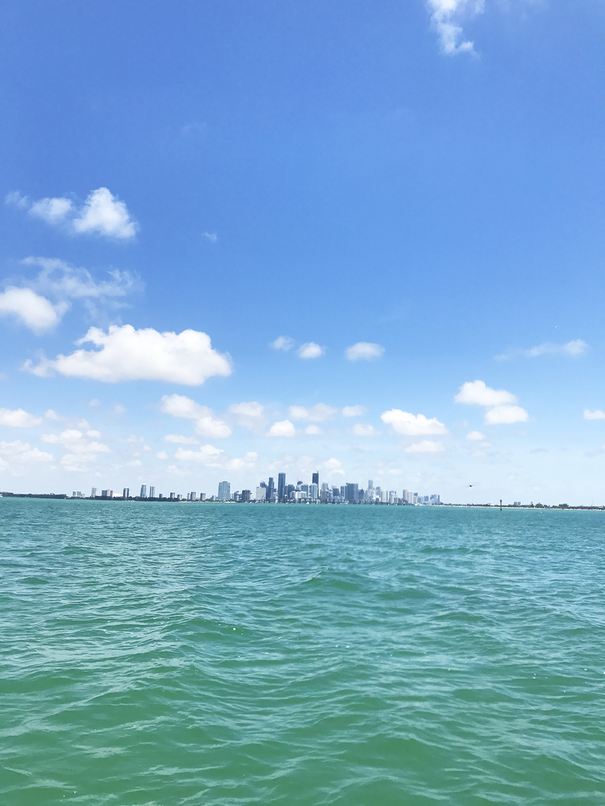 miami bay fishing